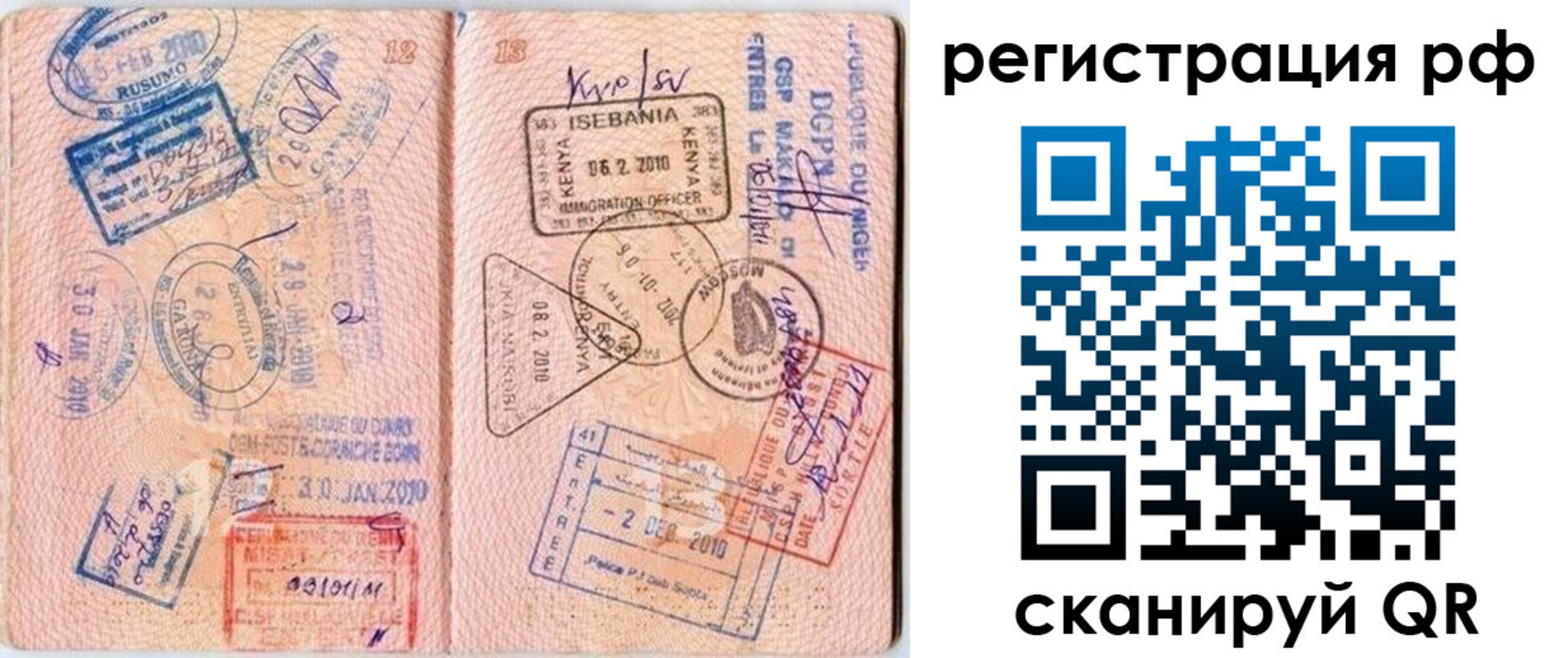 прописка для школы в Кировске